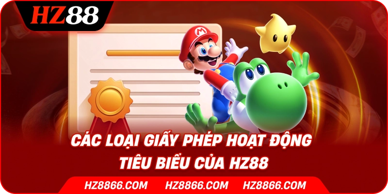 Các loại giấy phép hoạt động tiêu biểu của HZ88