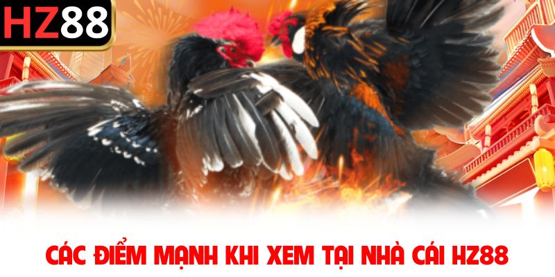 Các điểm mạnh khi xem tại nhà cái HZ88