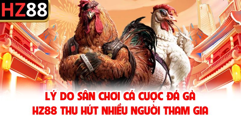 Lý do sân chơi cá cược đá gà HZ88 thu hút nhiều người tham gia
